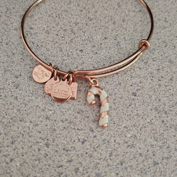 NWOT Alex and Ani Rose Gold Candy Cane Christmas Charm Bracelet Bangle 159 - Picture 3 of 4
